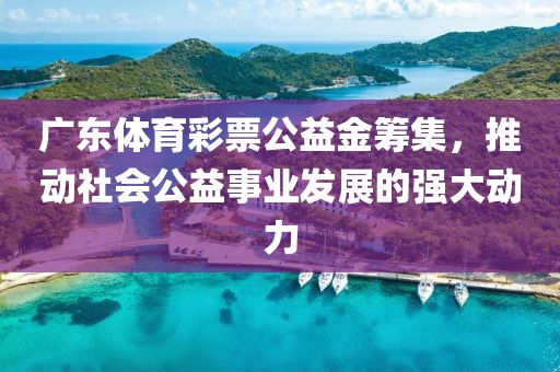 广东体育彩票公益金筹集，推动社会公益事业发展的强大动力