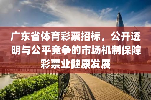 广东省体育彩票招标，公开透明与公平竞争的市场机制保障彩票业健康发展