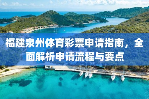 福建泉州体育彩票申请指南，全面解析申请流程与要点