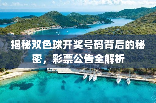 揭秘双色球开奖号码背后的秘密，彩票公告全解析