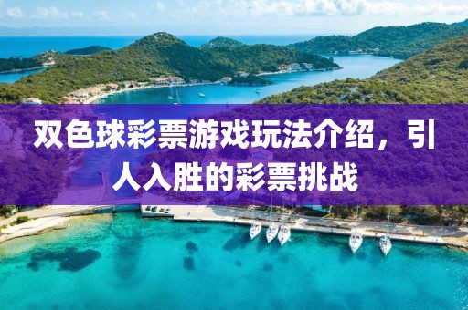 双色球彩票游戏玩法介绍，引人入胜的彩票挑战